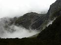 New_Zealand (534)